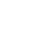 Distribution Reinvestment Plan