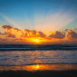Grant, Sunrise Beach, QLD
